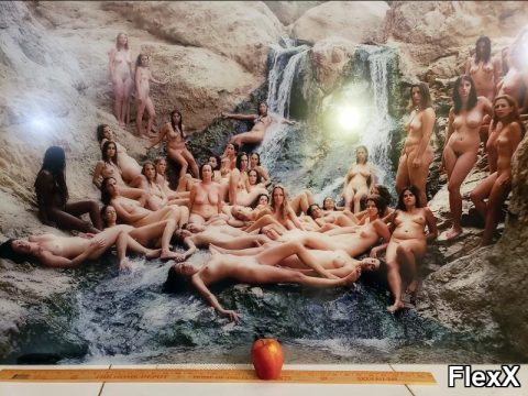 Art nu bizarre - bondage, torture, exhibition photo par RoccoFox — BDSM / Domination